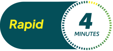 Rapid: 4 minutes